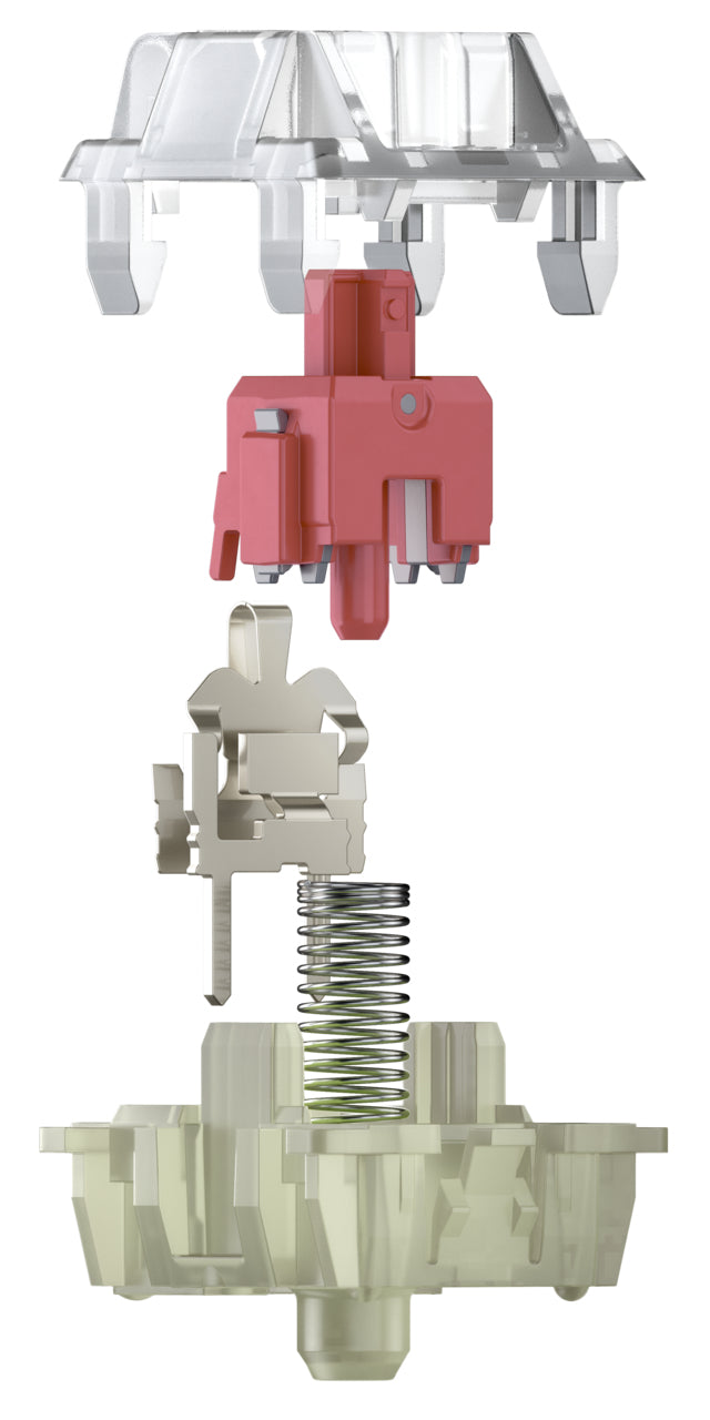 CHERRY CHERRY G80-3000N RGB TKL tastatur Universel USB QWERTZ Tysk Sort